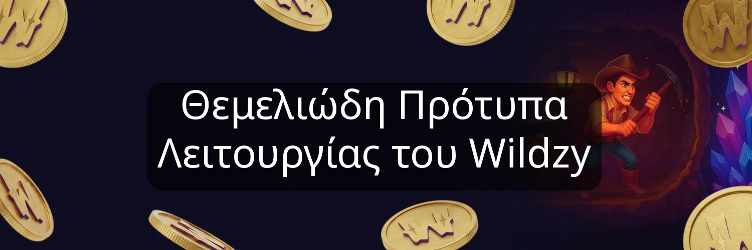 Θεμελιώδη Πρότυπα Λειτουργίας του Wildzy